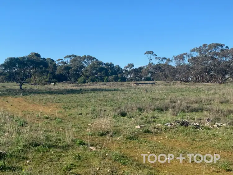Fifth view of Homely rural property listing, LOT 25 Kulde Road, Tailem Bend SA 5260