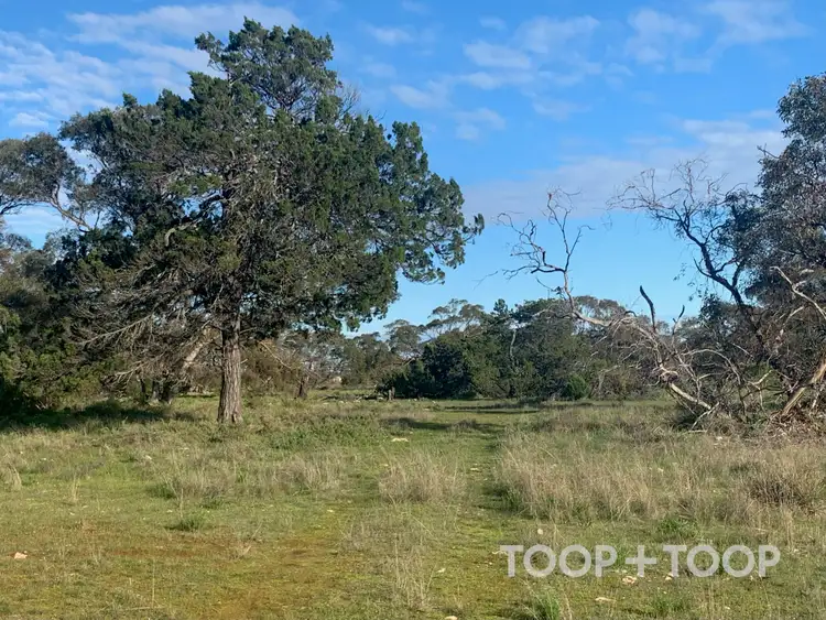 Sixth view of Homely rural property listing, LOT 25 Kulde Road, Tailem Bend SA 5260