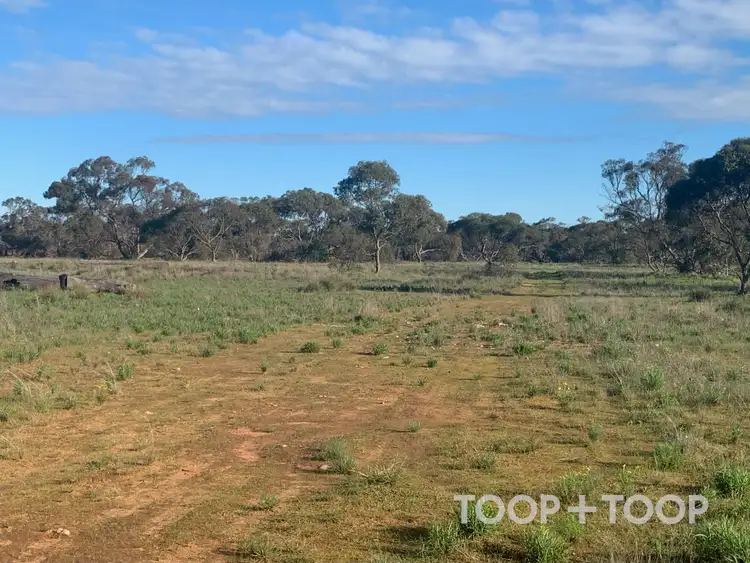 Seventh view of Homely rural property listing, LOT 25 Kulde Road, Tailem Bend SA 5260