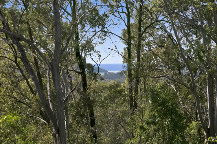 Fourth view of Homely house listing, 54 Sullivan Road, Tallebudgera QLD 4228