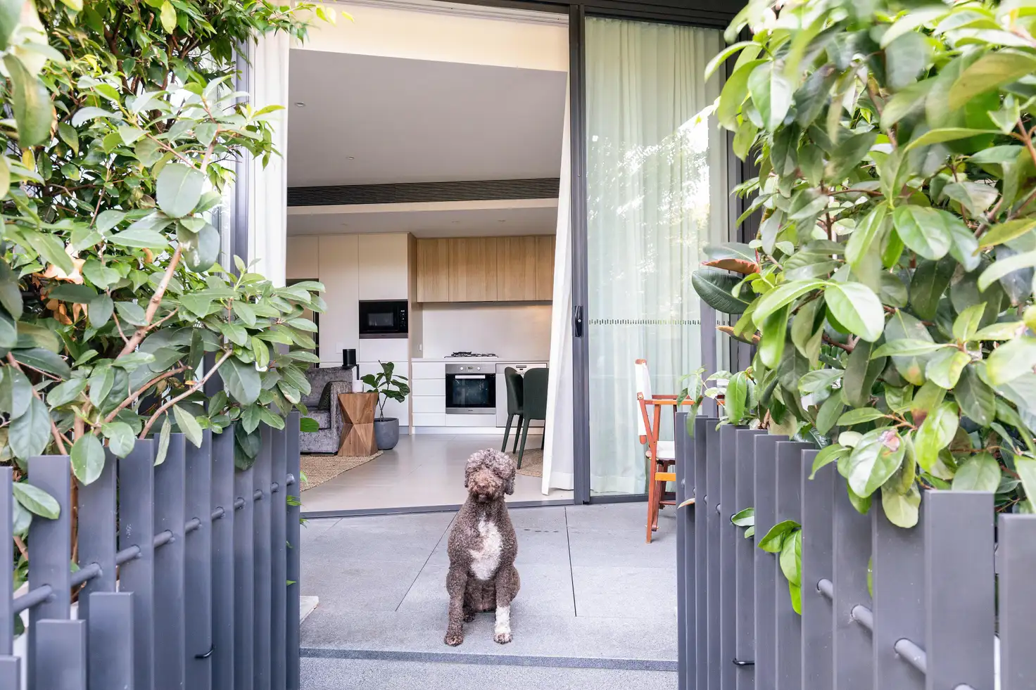 Main view of Homely apartment listing, G02/1 Cullen Close, Forest Lodge NSW 2037