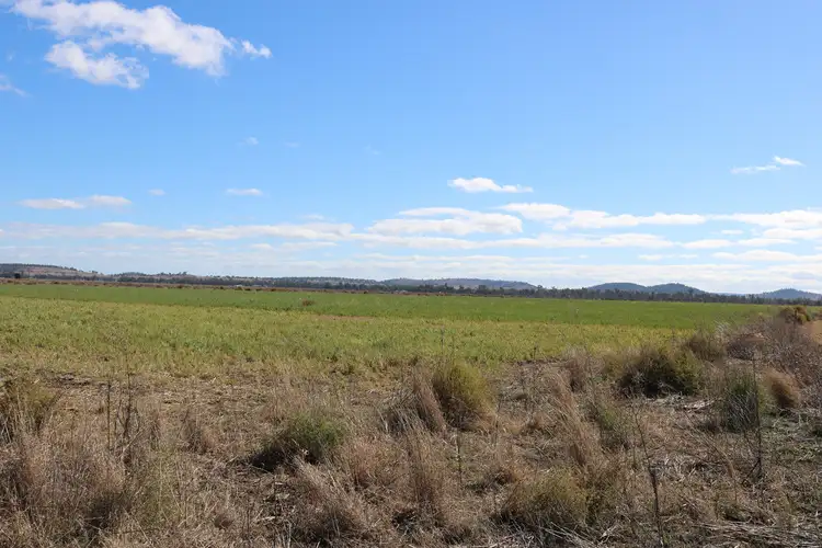 Fourth view of Homely rural property listing, 49 Kelvinhaugh-Yalangur Road, Yalangur QLD 4352
