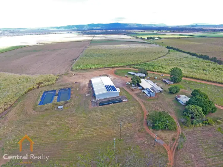 Second view of Homely rural property listing, 341 Mulligan Highway, Mareeba QLD 4880