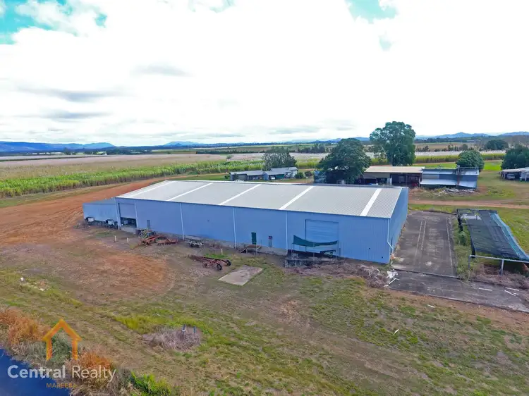 Third view of Homely rural property listing, 341 Mulligan Highway, Mareeba QLD 4880