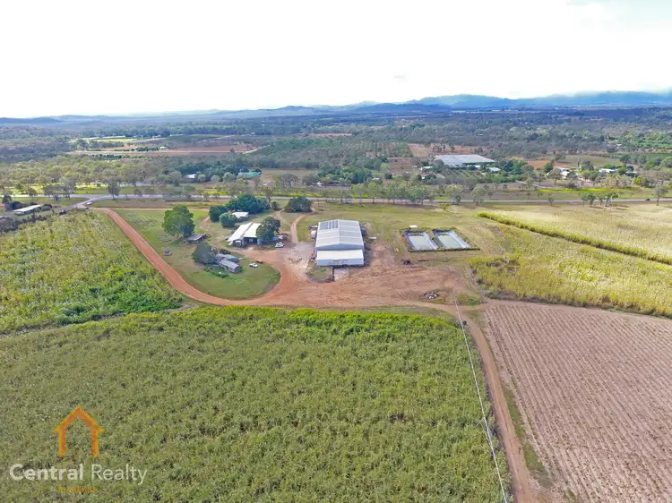 Fifth view of Homely rural property listing, 341 Mulligan Highway, Mareeba QLD 4880