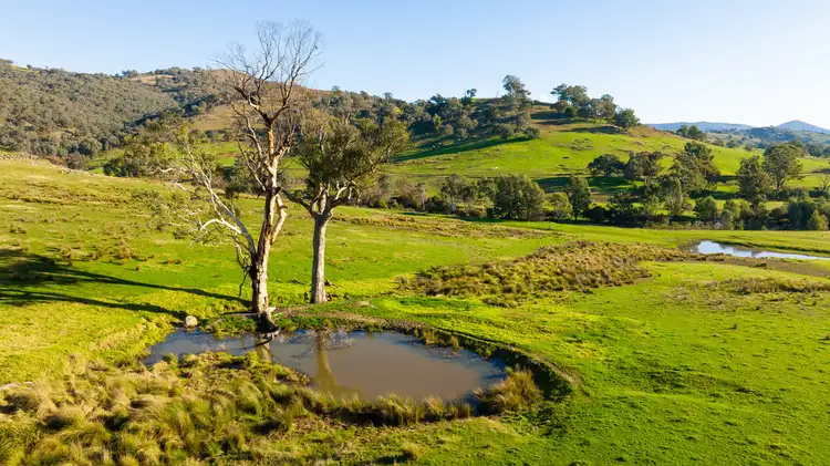 Sixth view of Homely rural property listing, Koetong Creek Track, Bungil VIC 3691