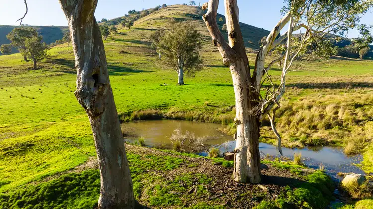 Seventh view of Homely rural property listing, Koetong Creek Track, Bungil VIC 3691