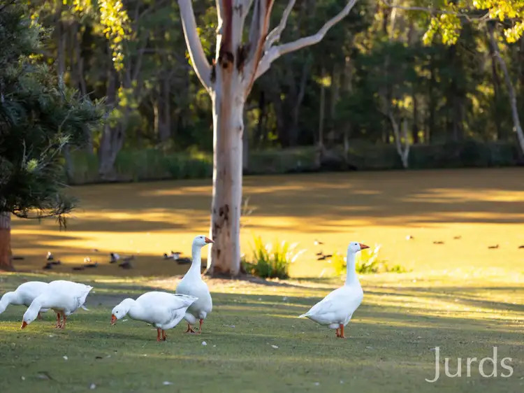 Third view of Homely rural property listing, 755 Sandy Creek Road, Quorrobolong NSW 2325