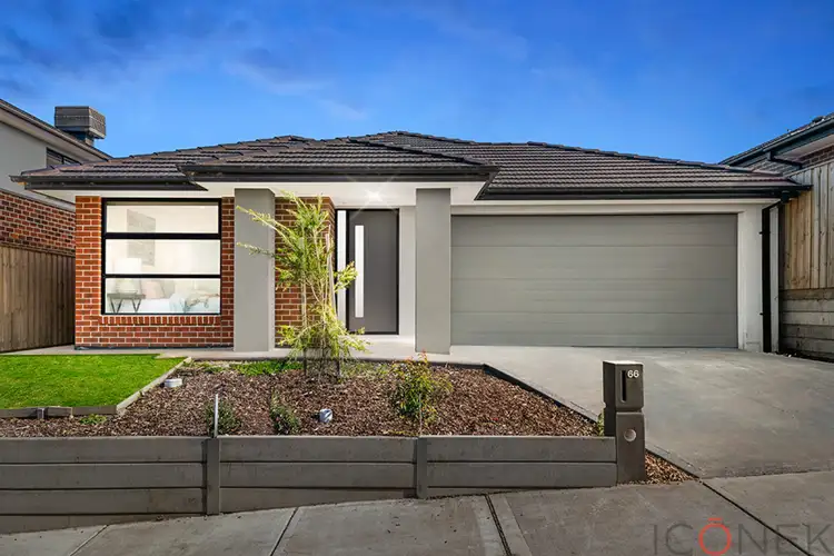 66 Nankeen Loop