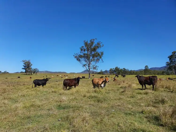 Gladstone-Monto Road, Boyne Valley QLD 4680