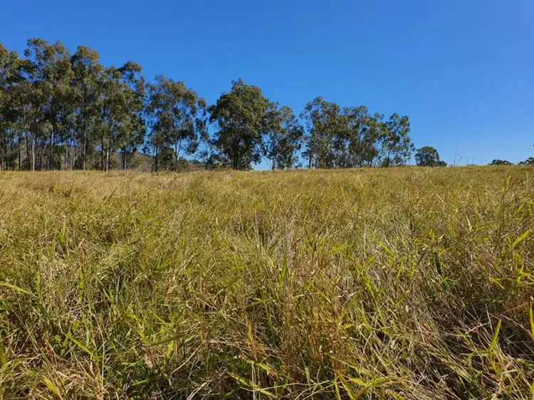 Fourth view of Homely rural property listing, Gladstone-Monto Road, Boyne Valley QLD 4680