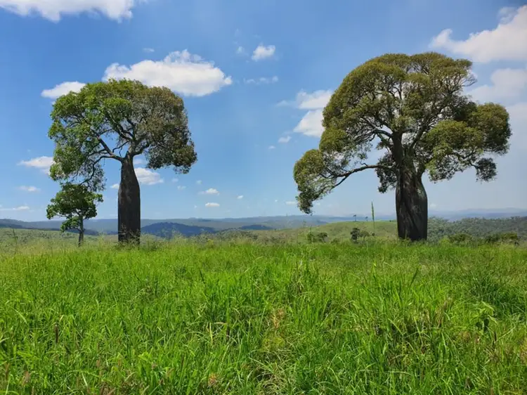Tellebang Road, Monto QLD 4630