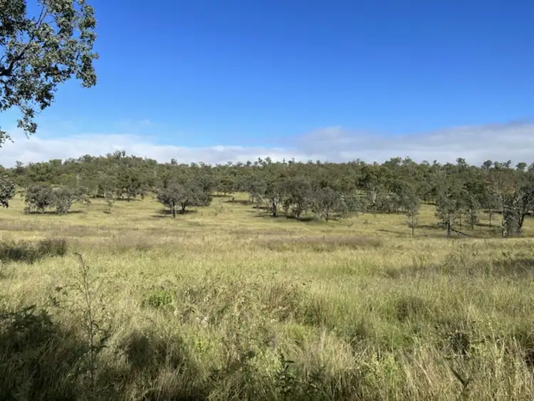 Sixth view of Homely rural property listing, 425 Cahalane Road, Monto QLD 4630