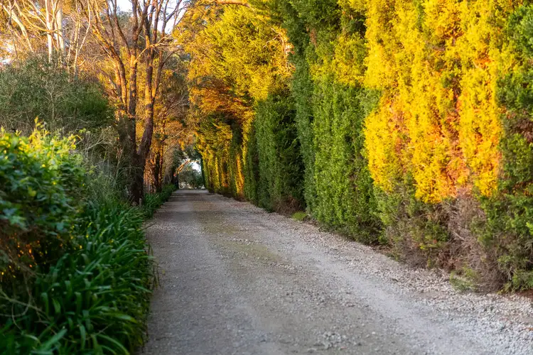 Fifth view of Homely house listing, 1/290 Canadian Bay Road, Mount Eliza VIC 3930