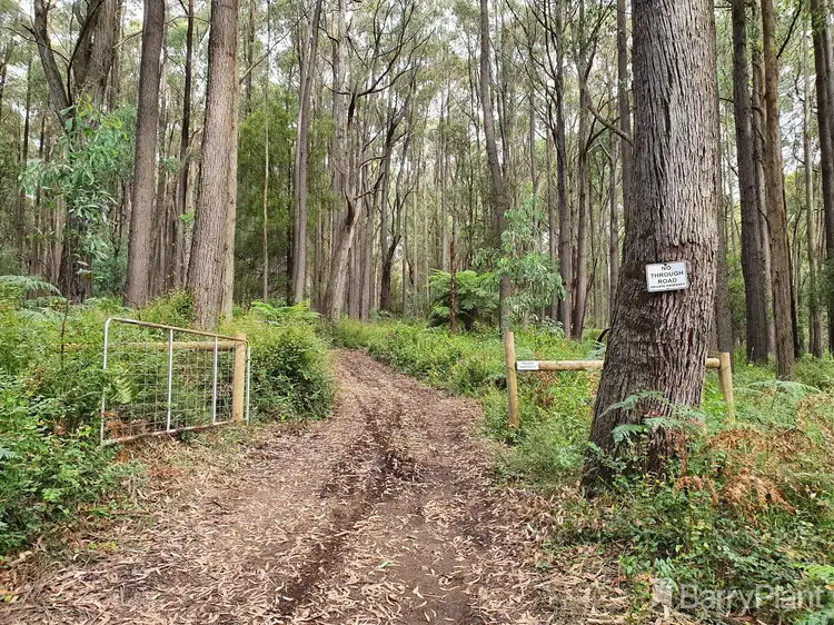 Second view of Homely land listing, 1650 East Beenak Road, Beenak VIC 3139