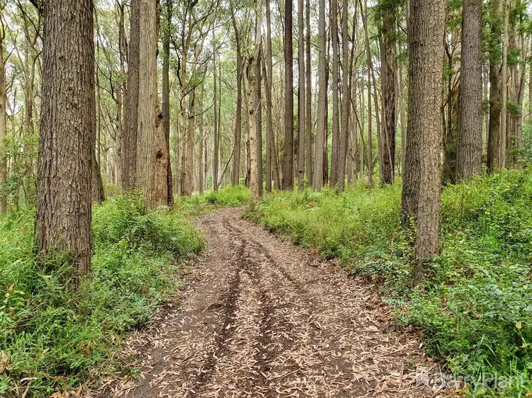 Third view of Homely land listing, 1650 East Beenak Road, Beenak VIC 3139