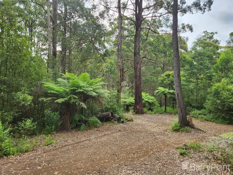 Fourth view of Homely land listing, 1650 East Beenak Road, Beenak VIC 3139