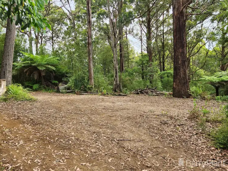 Sixth view of Homely land listing, 1650 East Beenak Road, Beenak VIC 3139