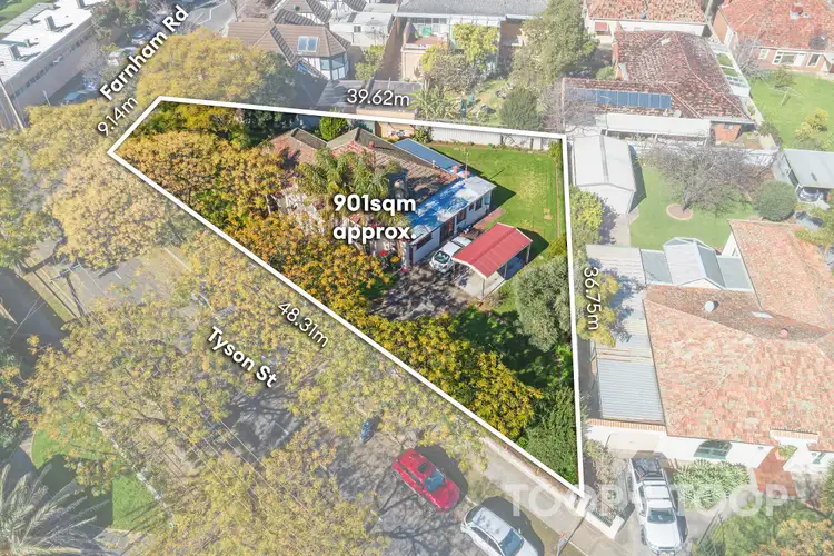 19 Tyson Street, Ashford SA 5035