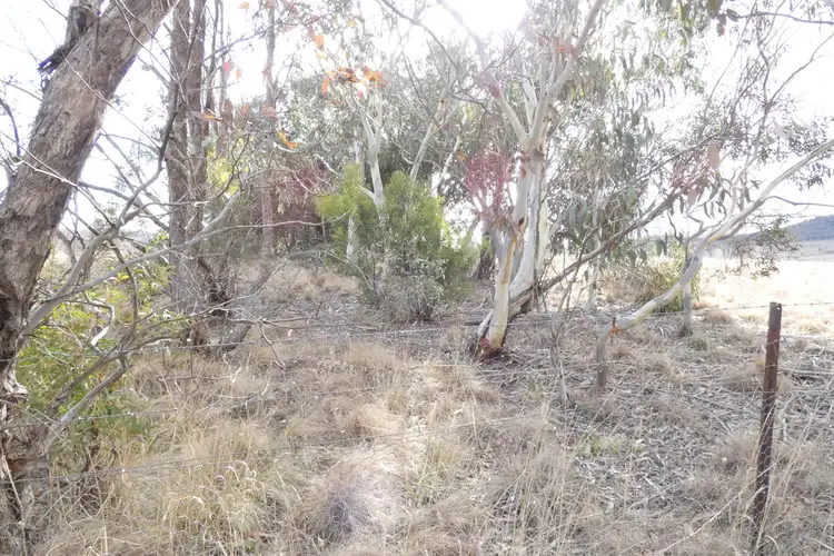 Main view of Homely land listing, LOT 1 Monaro Highway, Colinton NSW 2626
