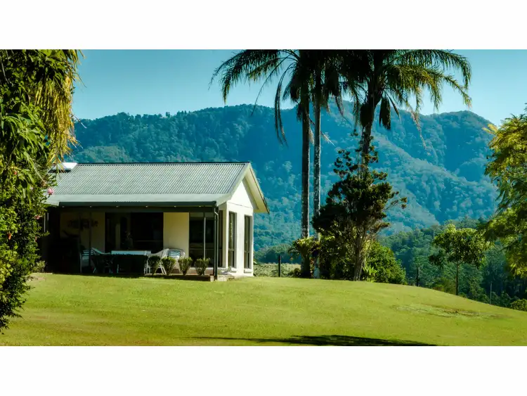2331 Waterfall Way, Bellingen NSW 2454