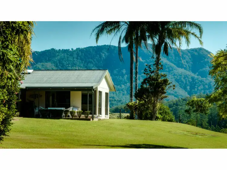 Fourth view of Homely rural property listing, 2331 Waterfall Way, Bellingen NSW 2454