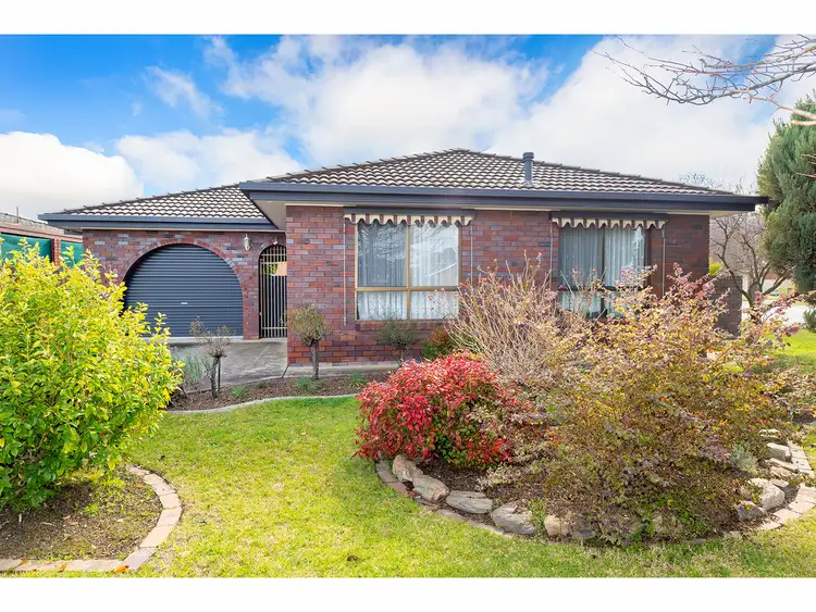 Main view of Homely house listing, 420 Schaefer Street, Lavington NSW 2641