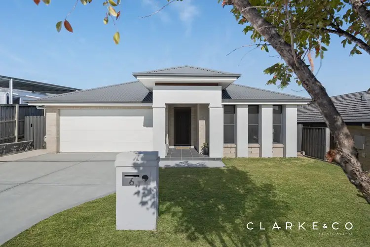 6 Pinfly Street, Chisholm NSW 2322