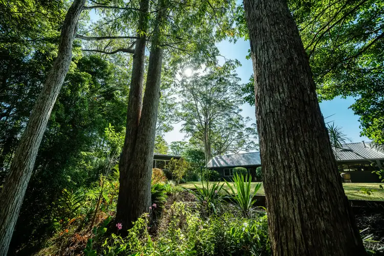 Fifth view of Homely house listing, 31 Scotchman Road, Bellingen NSW 2454