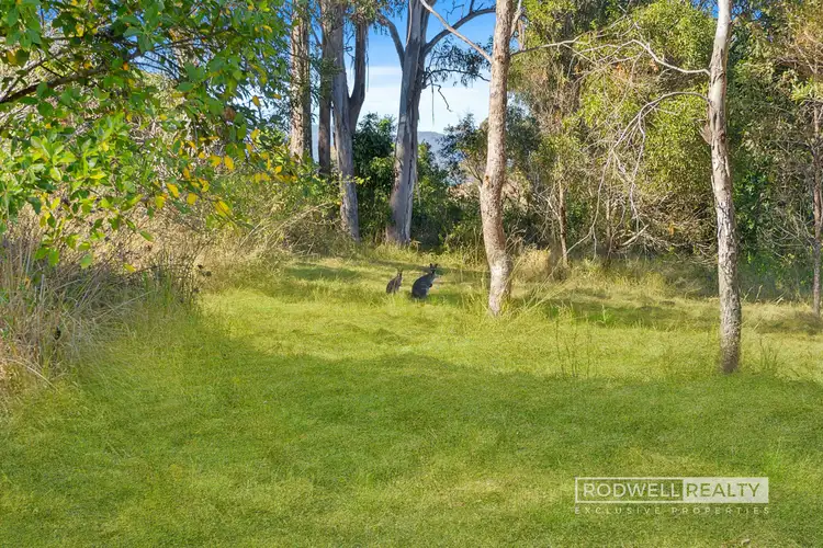 Fifth view of Homely land listing, 283 Mount Barney Road, Barney View QLD 4287