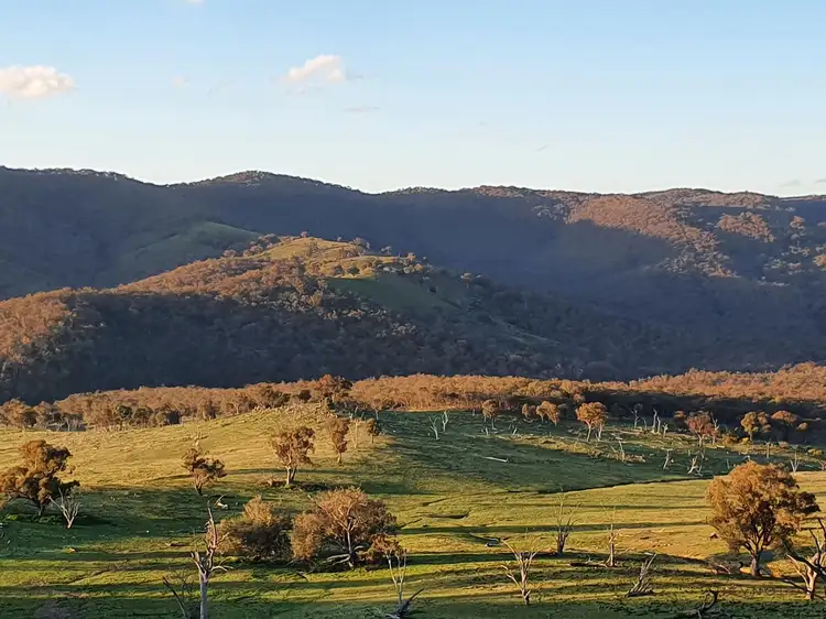 Second view of Homely rural property listing, 210 Burns Road, Mudgee NSW 2850