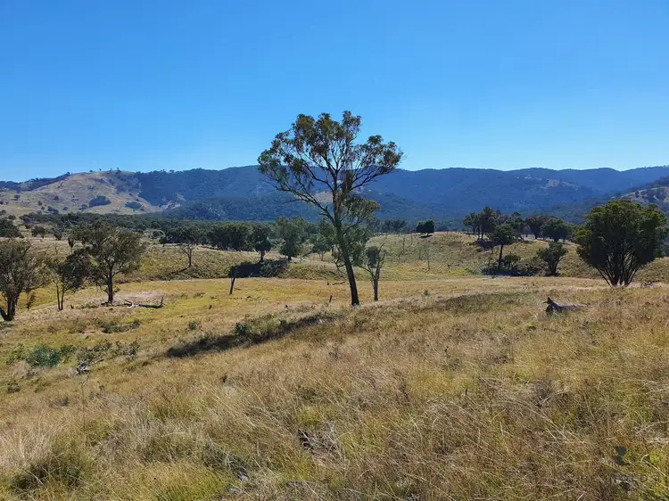 Fourth view of Homely rural property listing, 210 Burns Road, Mudgee NSW 2850