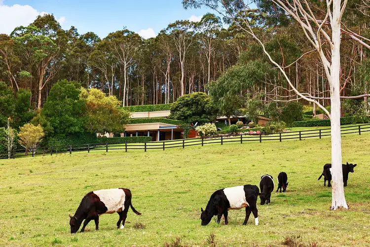 Third view of Homely rural property listing, 38 Lauffs Lane, Wyong Creek NSW 2259