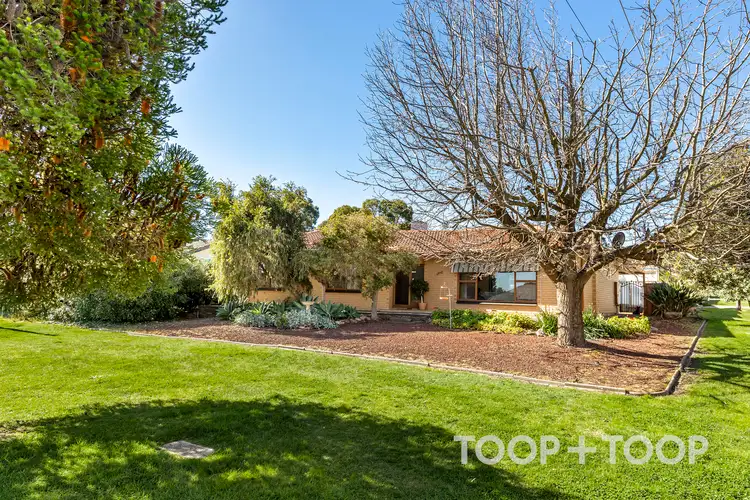 Main view of Homely house listing, 1 Elsworth Drive, Banksia Park SA 5091