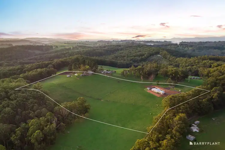 Second view of Homely house listing, 243 Mt Eirene Road, Gembrook VIC 3783