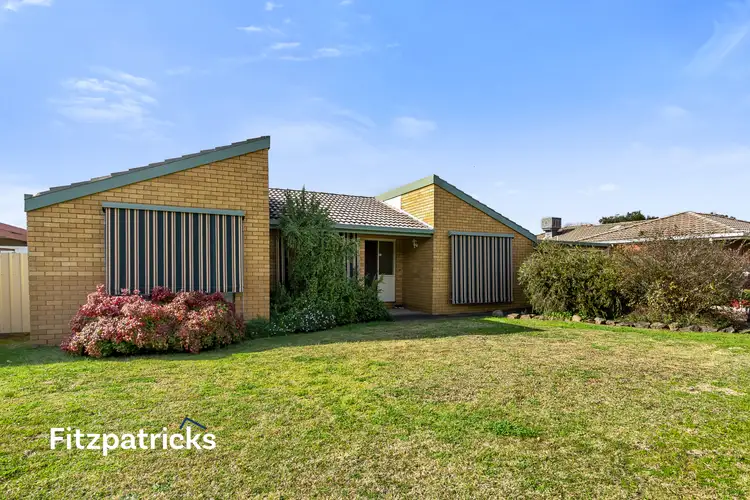 11 Adjin Street, Mount Austin NSW 2650
