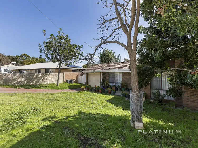 Second view of Homely house listing, 125 Camberwarra Drive, Craigie WA 6025