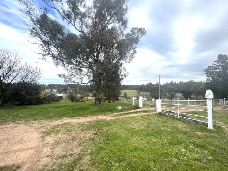 Main view of Homely house listing, 31 Gresham Street, Tarcutta NSW 2652