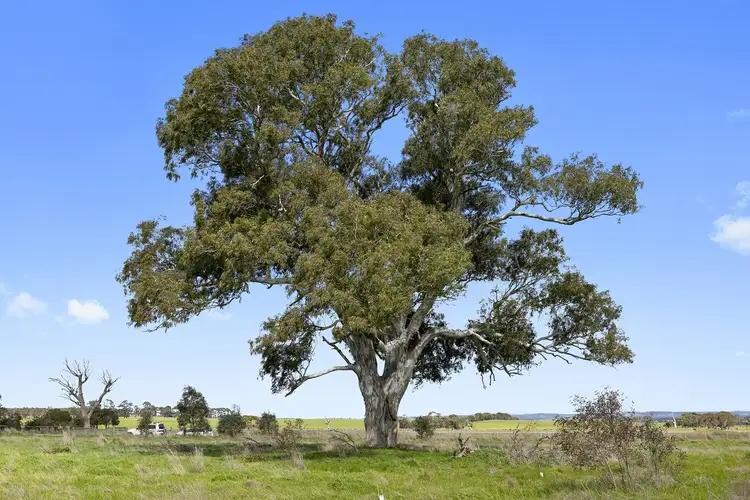 Fifth view of Homely land listing, 170 Stephenson Road, Winchelsea VIC 3241