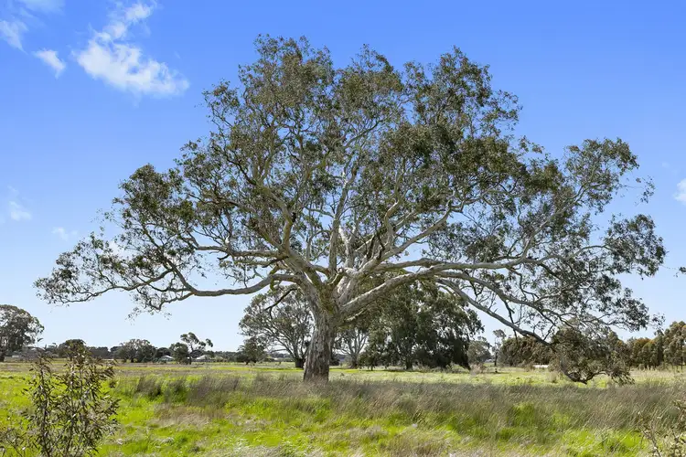 Sixth view of Homely land listing, 170 Stephenson Road, Winchelsea VIC 3241