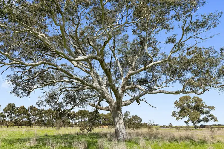 Seventh view of Homely land listing, 170 Stephenson Road, Winchelsea VIC 3241