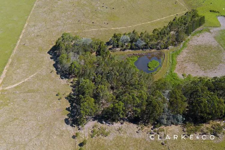 Sixth view of Homely rural property listing, 480 Duckenfield Road, Duckenfield NSW 2321