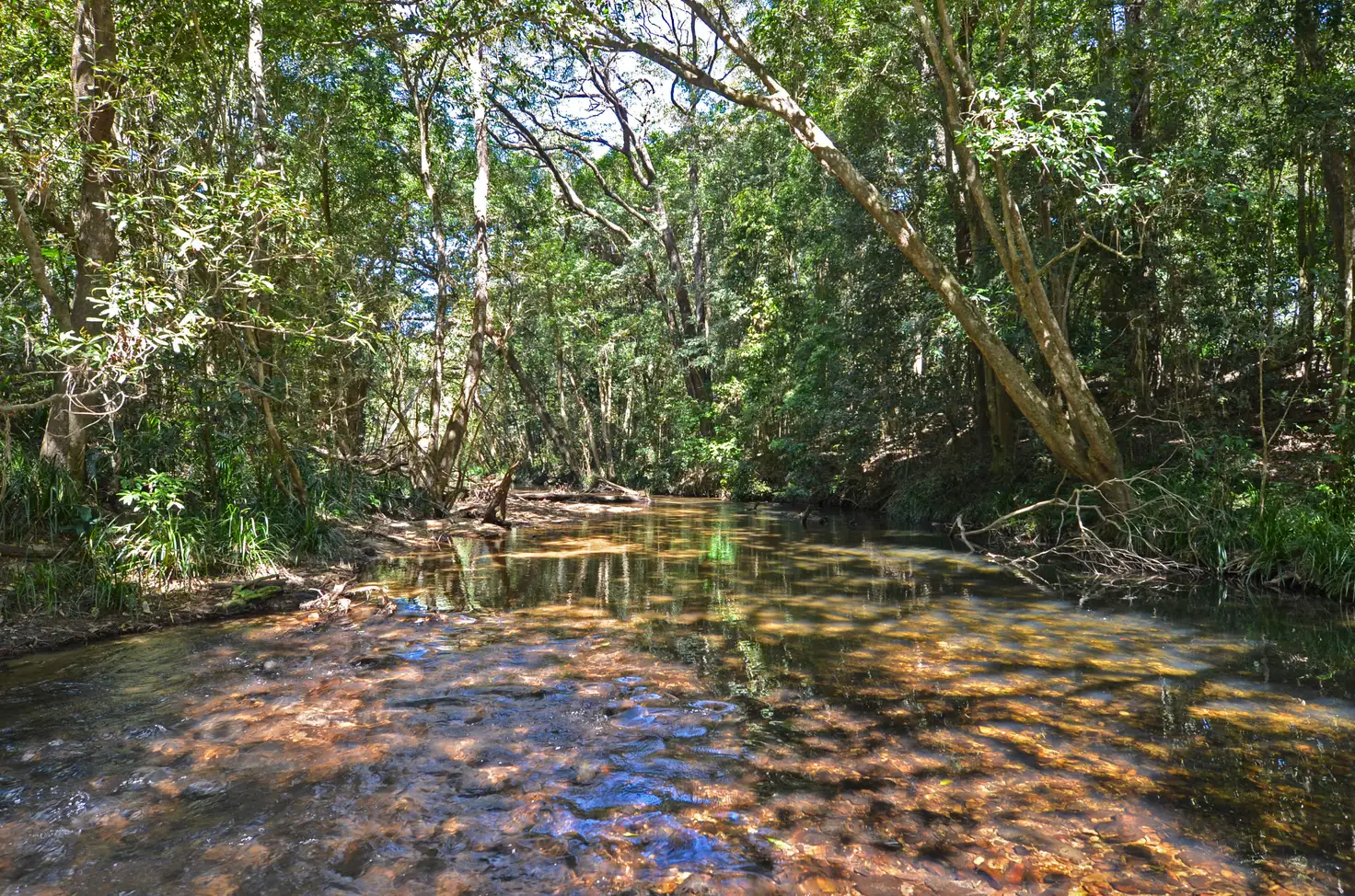 Main view of Homely house listing, 23 Brickworks Road, Koah QLD 4881