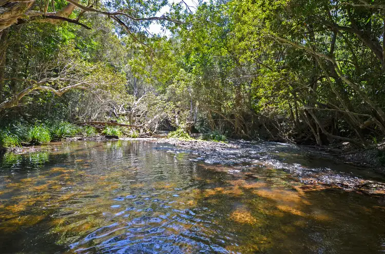 Second view of Homely house listing, 23 Brickworks Road, Koah QLD 4881