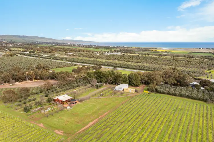 Main view of Homely rural property listing, 3737 Main South Road, Sellicks Hill SA 5174