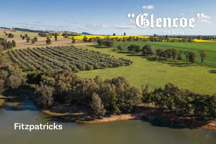 115 Eleven Mile Lane, Yarragundry NSW 2650