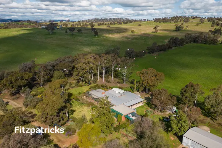 Second view of Homely rural property listing, 115 Eleven Mile Lane, Yarragundry NSW 2650