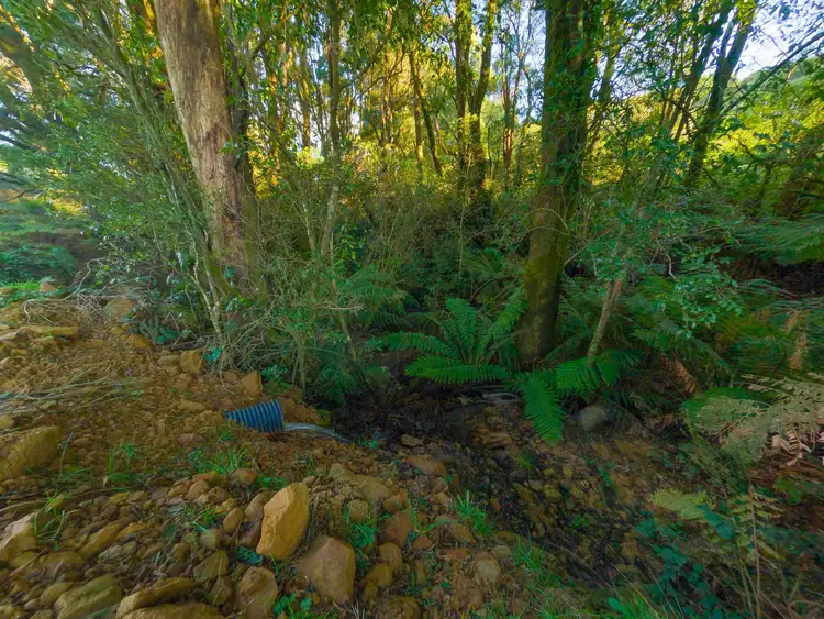 Third view of Homely rural property listing, LOT 3, 125 Beech Forest - Lavers Hill Road, Beech Forest VIC 3237