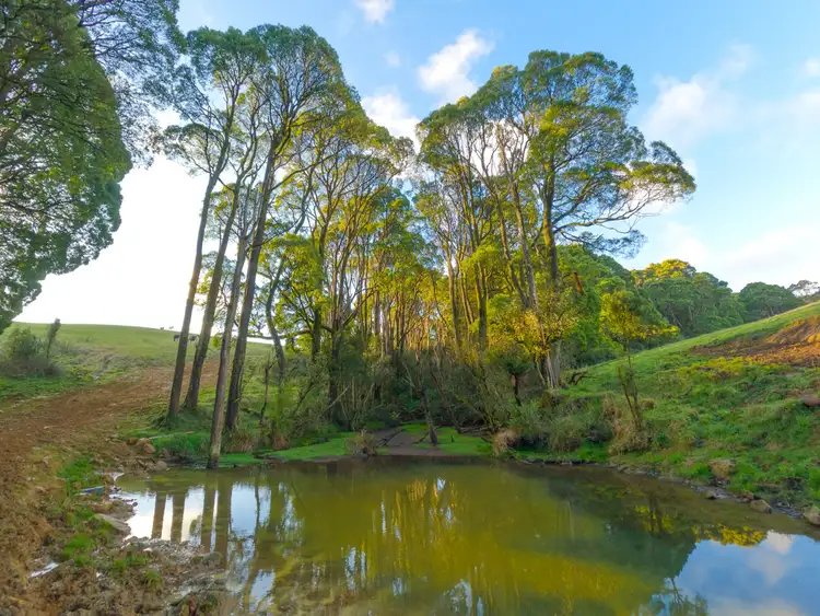 Fourth view of Homely rural property listing, LOT 3, 125 Beech Forest - Lavers Hill Road, Beech Forest VIC 3237