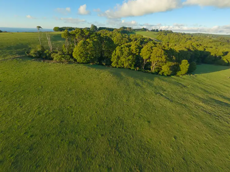 Fifth view of Homely rural property listing, LOT 3, 125 Beech Forest - Lavers Hill Road, Beech Forest VIC 3237